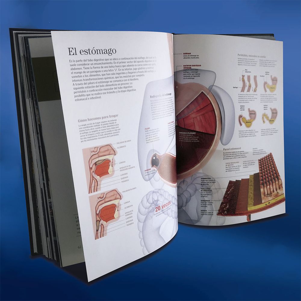 El agua HyboSolutions