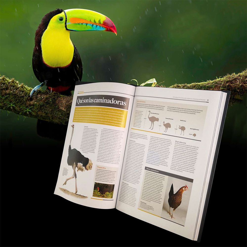 Mundo Animal HyboSolutions