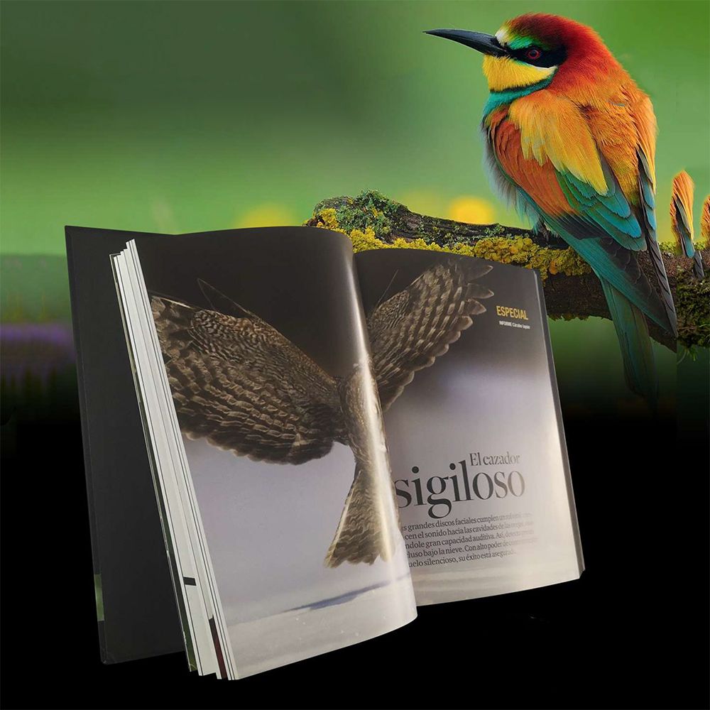 Mundo Animal HyboSolutions