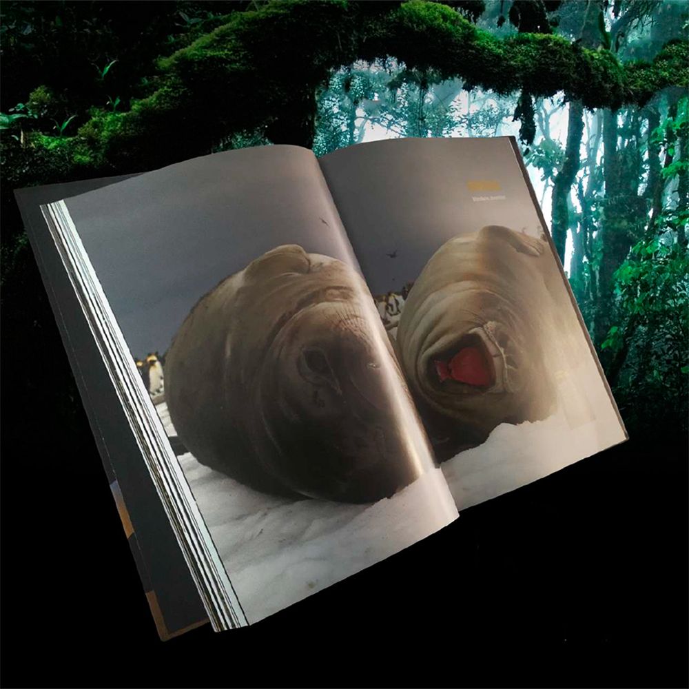 Mundo Animal HyboSolutions